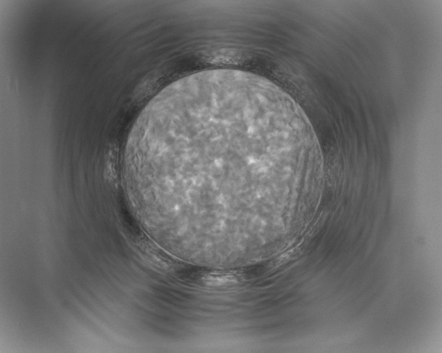 X0000072520175200608111729