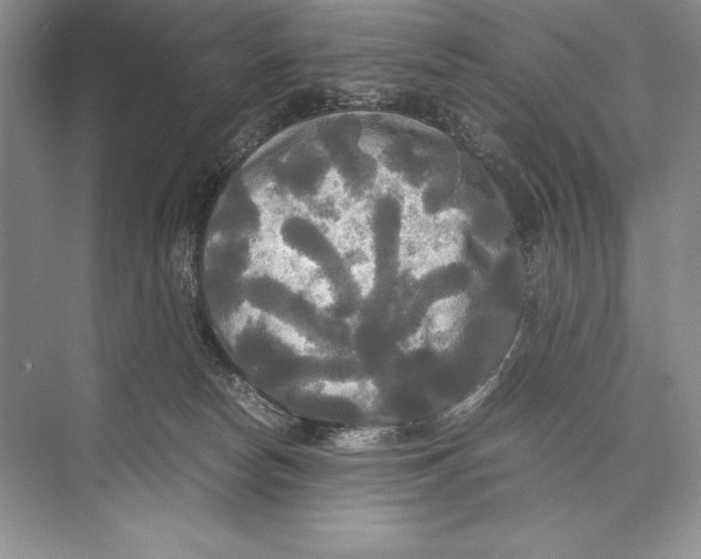 X0000072520178200608111730