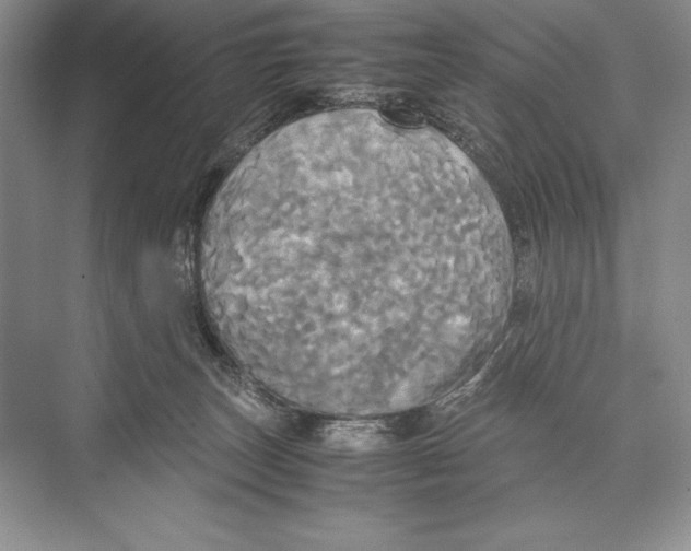 X0000072520179200608111730