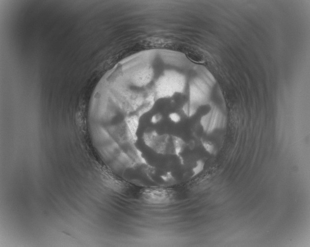 X0000072520181200608111730