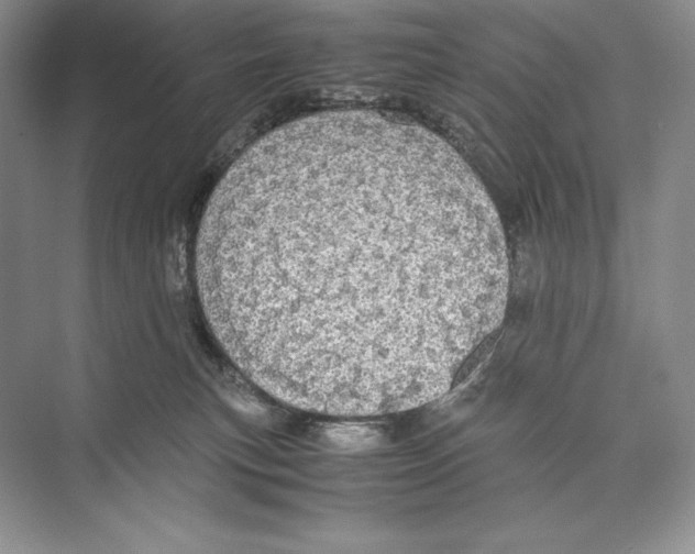 X0000072520183200608111730