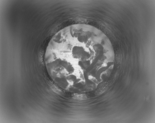 X0000072520185200608111730