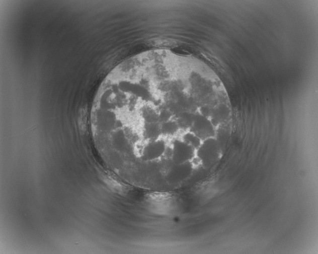 X0000072520189200608111730