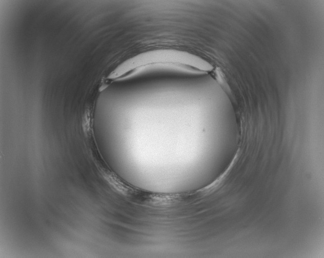 X0000072520190200608111730