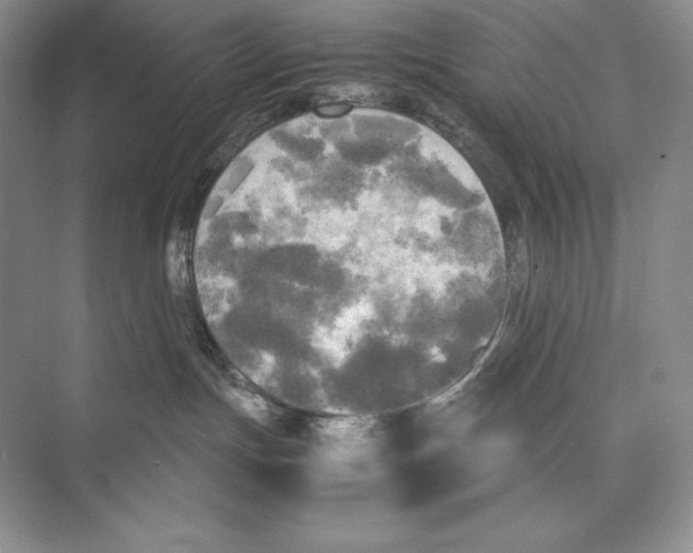 X0000072520191200608111730