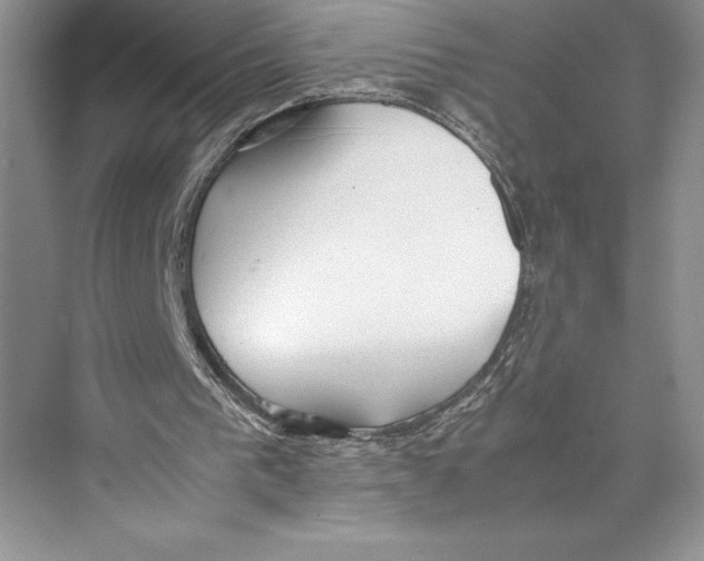 X0000072520193200608111729