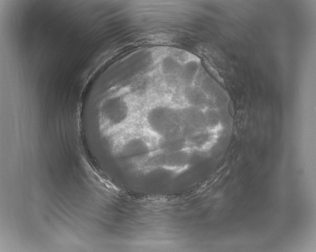 X0000072520194200608111729