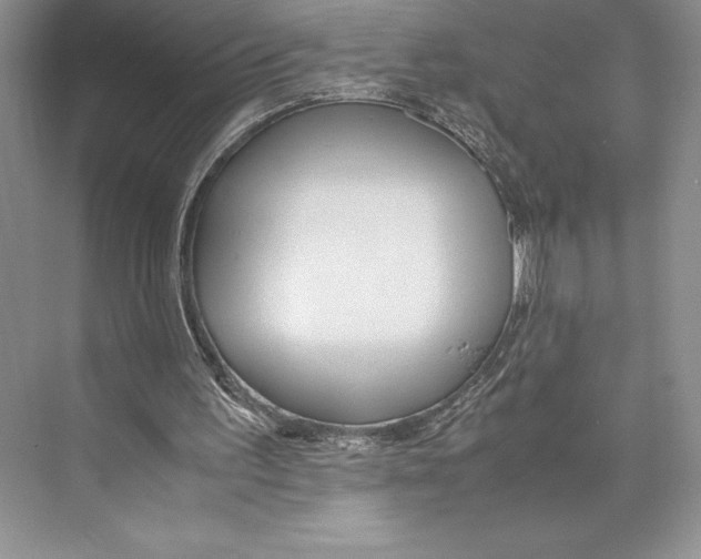 X0000072520195200608111729