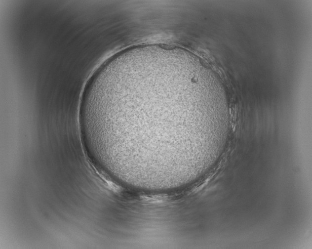 X0000072520196200608111729