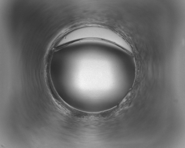 X0000072520197200608111729