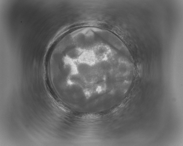 X0000072520198200608111729