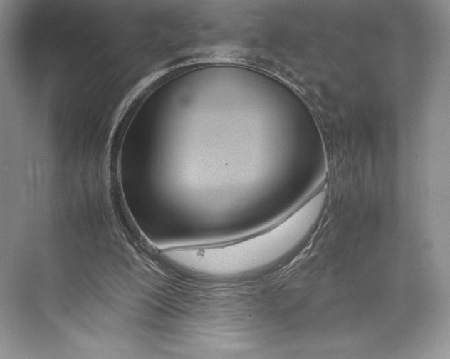 X0000072520200200608111729