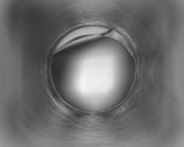 X0000072520201200608111729