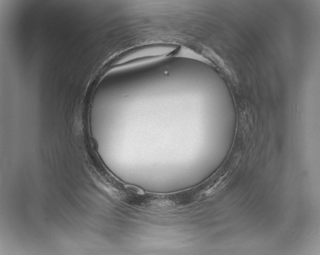 X0000072520203200608111729