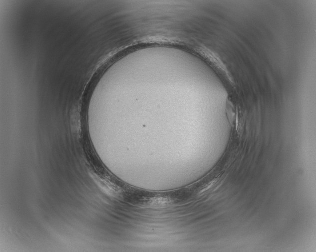 X0000072520204200608111729