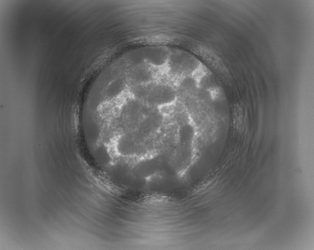 X0000072520206200608111729