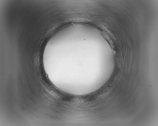 X0000072520207200608111729