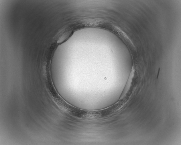 X0000072520209200608111729