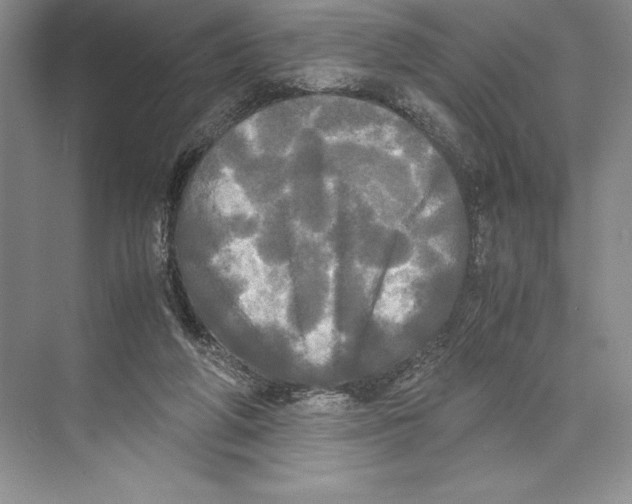 X0000072520210200608111729