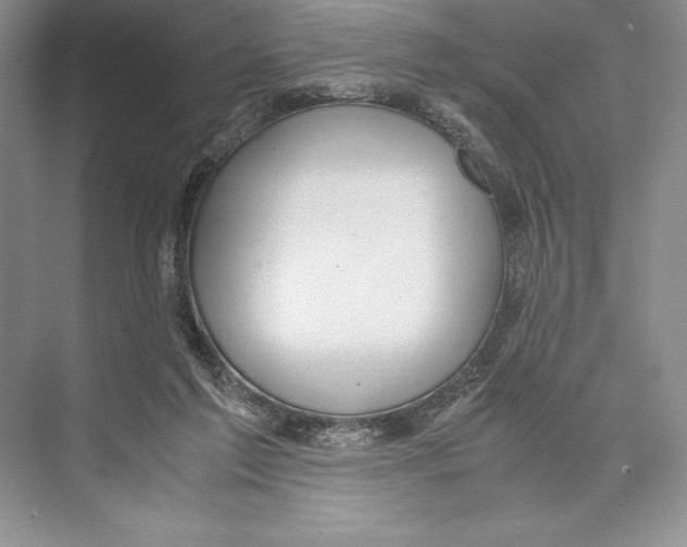 X0000072520213200608111729