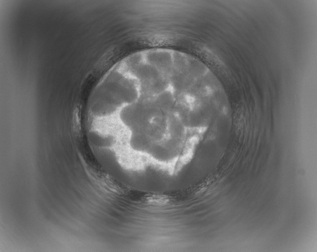 X0000072520214200608111729