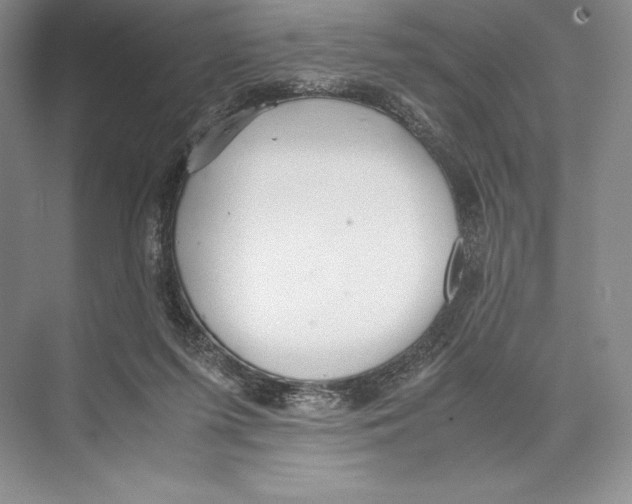 X0000072520215200608111729