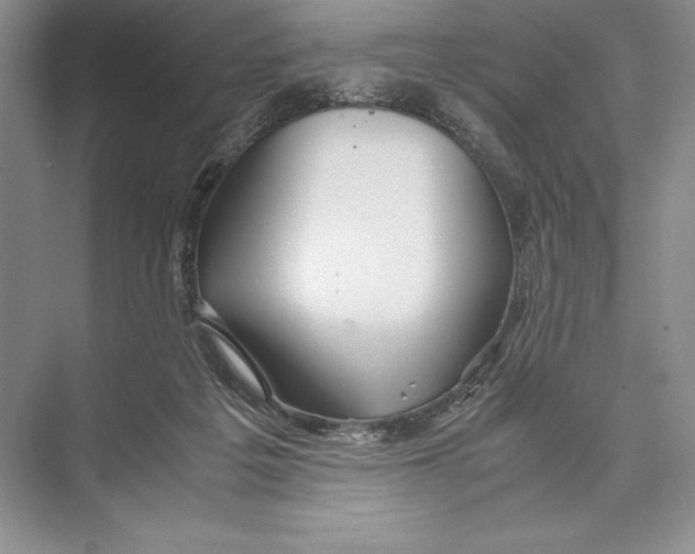 X0000072520217200608111729