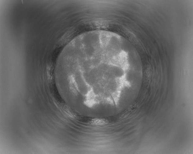 X0000072520218200608111729