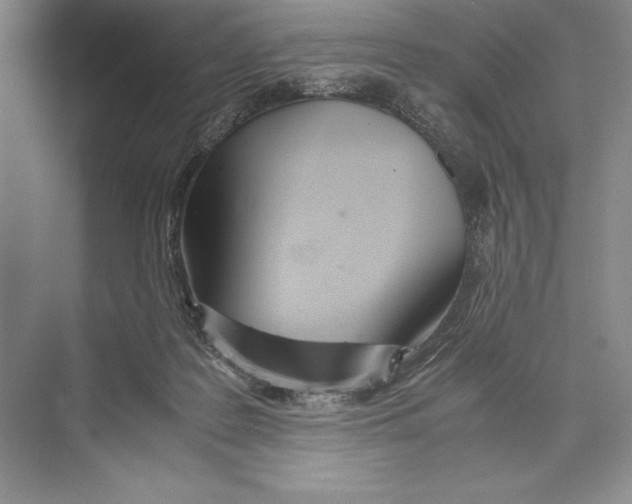 X0000072520219200608111729