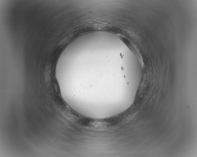 X0000072520221200608111728