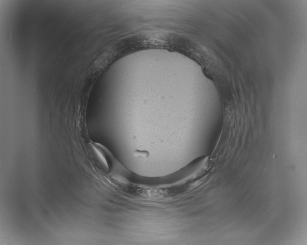 X0000072520223200608111728