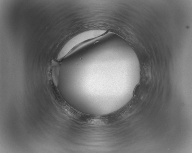 X0000072520224200608111728