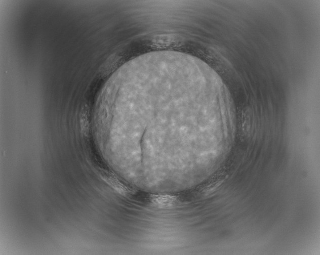 X0000072520226200608111728