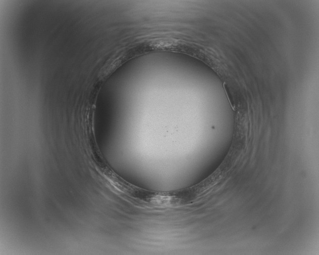 X0000072520227200608111728