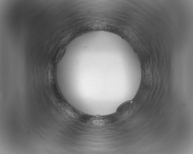 X0000072520228200608111728