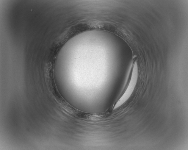 X0000072520229200608111728