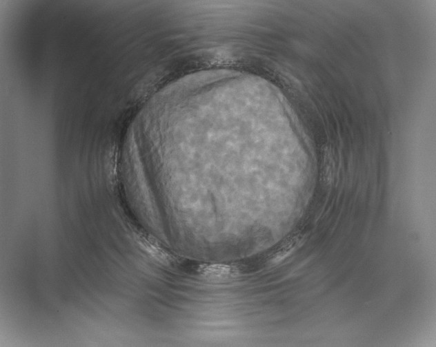 X0000072520230200608111728