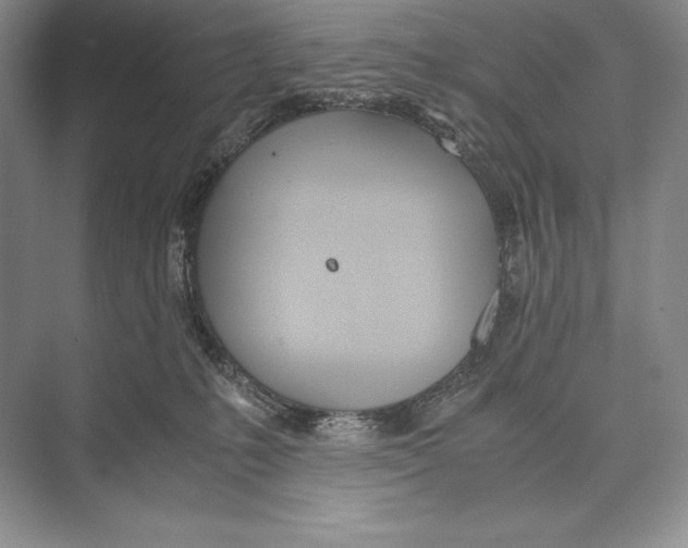 X0000072520231200608111728