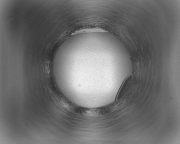 X0000072520232200608111728