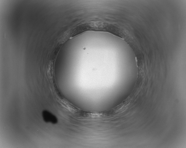 X0000072520233200608111728