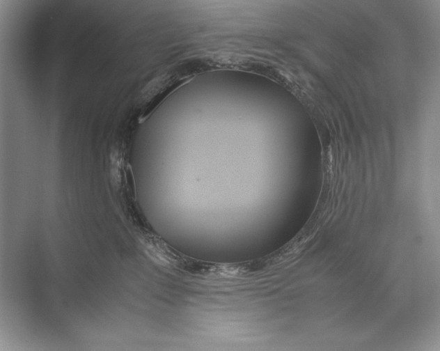 X0000072520235200608111728