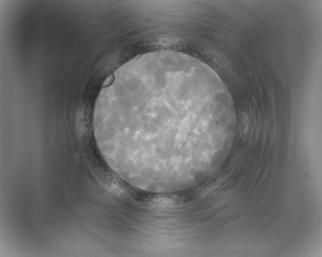 X0000072520236200608111728