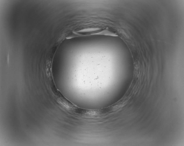 X0000072520237200608111728