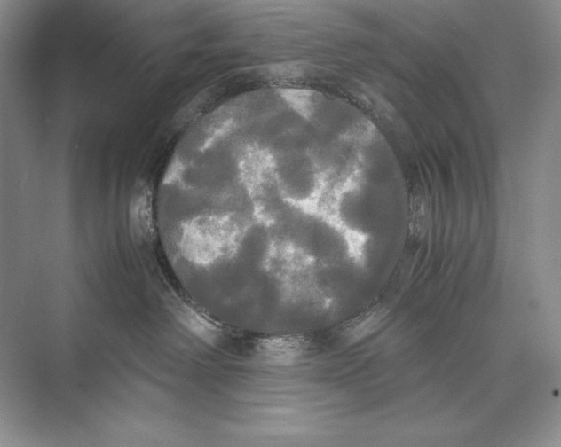 X0000072520238200608111728