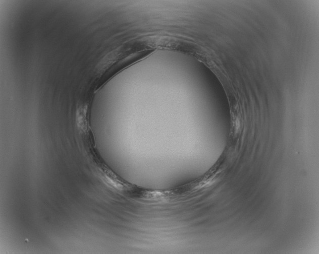 X0000072520239200608111728