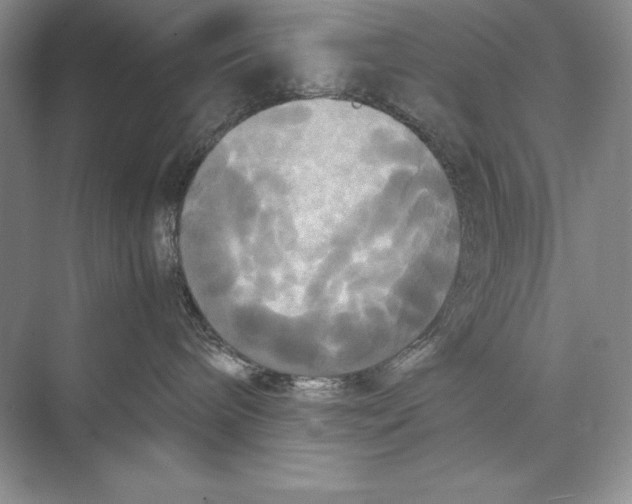 X0000072520240200608111728