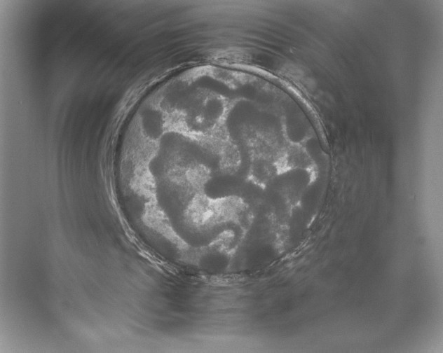 X0000072520241200608111727