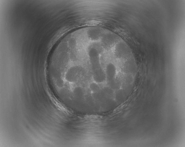 X0000072520242200608111727