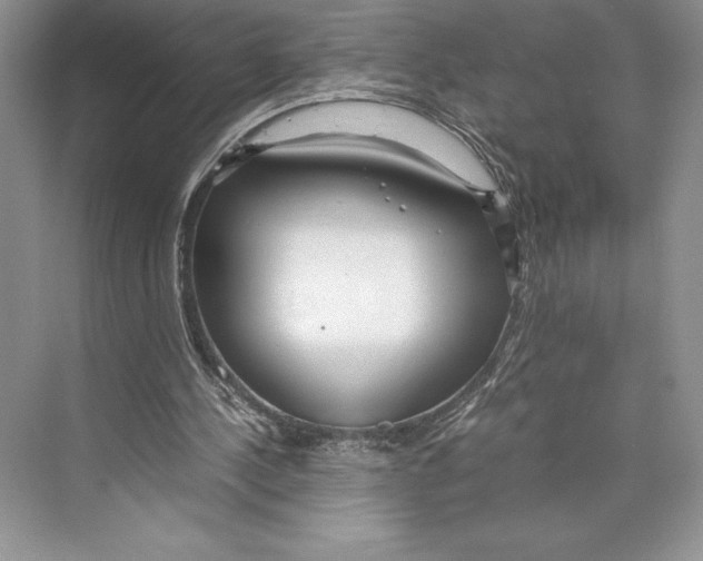 X0000072520244200608111727