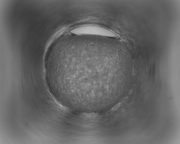 X0000072520245200608111727